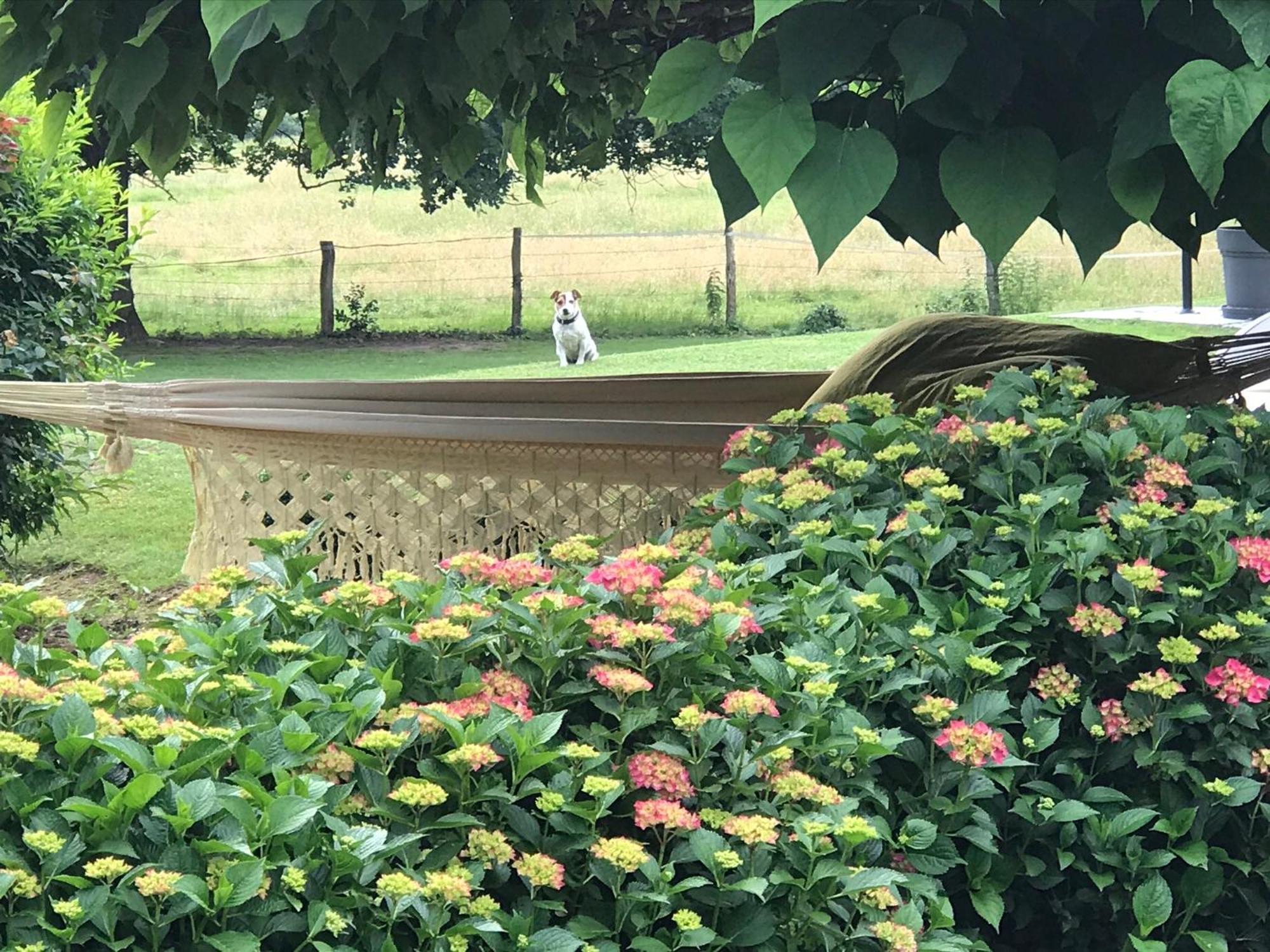 La Maison D Ines And Ugolin & Spa Baccarat Zewnętrze zdjęcie