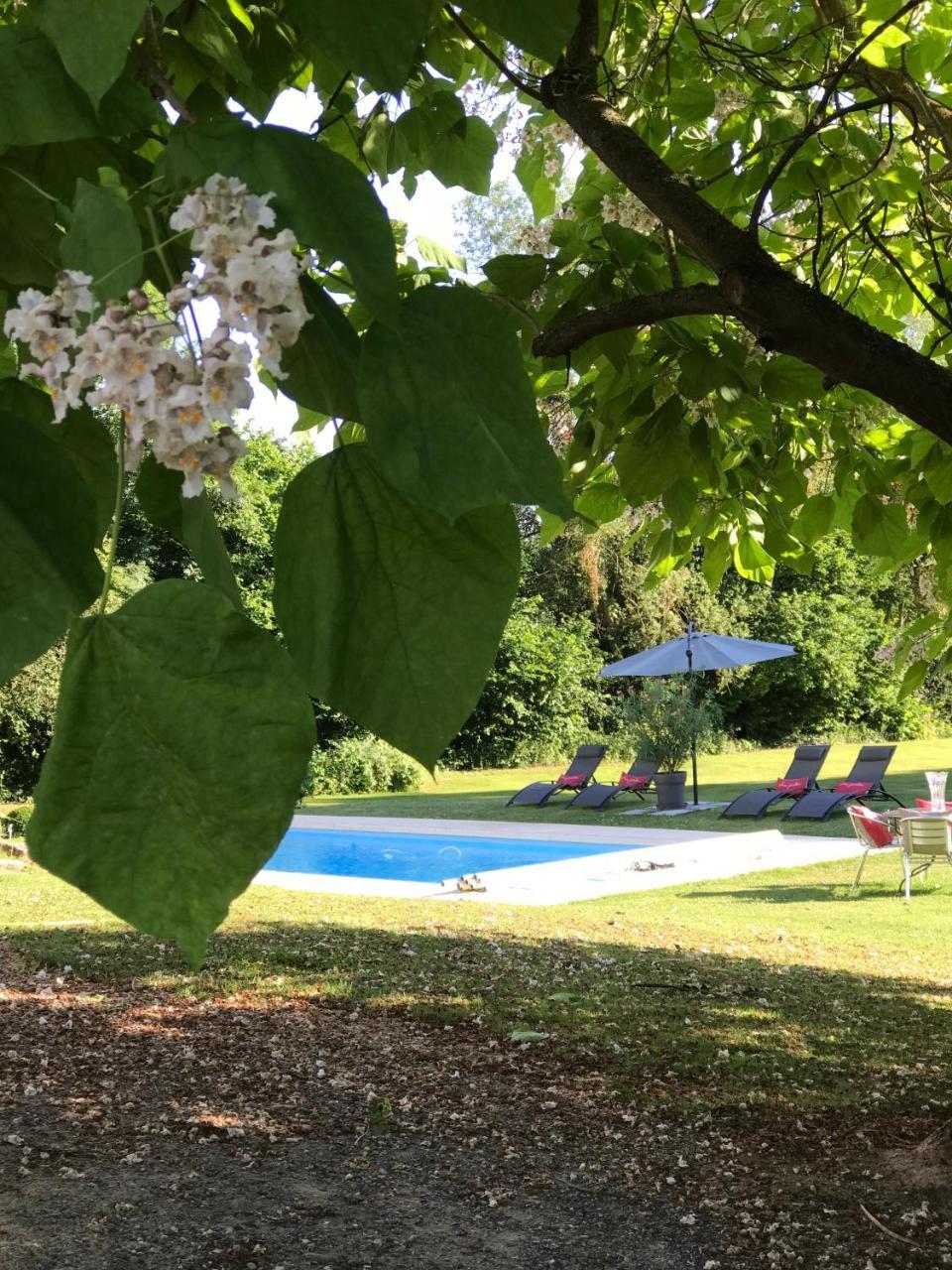 La Maison D Ines And Ugolin & Spa Baccarat Zewnętrze zdjęcie